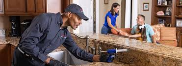 Best Residential Pest Control  in Breinigsville, PA